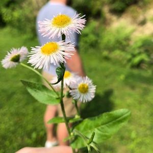 Hello Fellow Poshmarkers!!!! ❤️